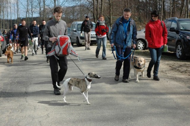 Zawody dogtrekkingowe