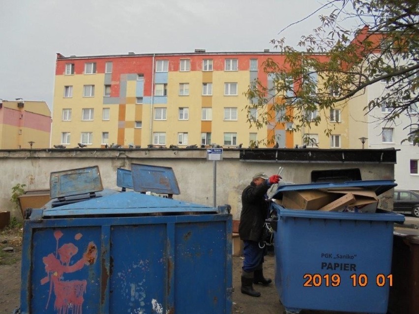 Fotopułapki już są przy śmietnikach we Włocławku. Sprawdź gdzie [zdjęcia]