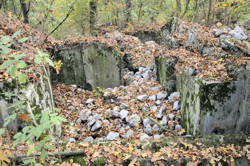 Piękny teren tuż nad Odrą. Warto go odwiedzić