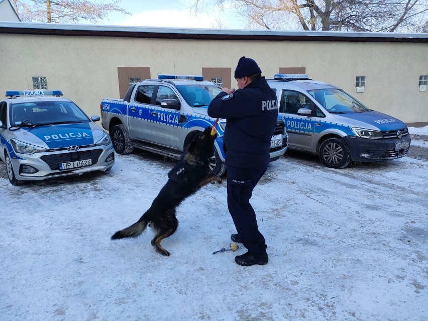 Blacky jest psem patrolowo tropiącym, który pod koniec...