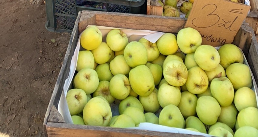 Jabłka


Od 2 do 6 zł za kilogram