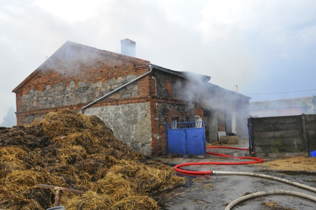 Pożar obory w gospodarstwie w Olszewie w gminie Śmigiel
