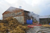 Pożar obory w gospodarstwie w Olszewie w gminie Śmigiel ZDJĘCIA