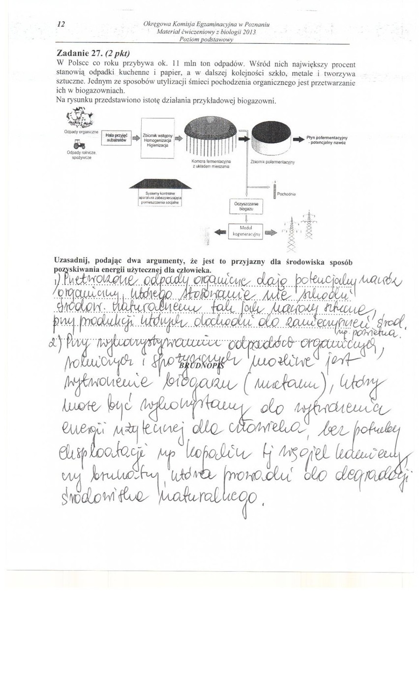 Próbna matura 2013: Biologia [ARKUSZE, ODPOWIEDZI]