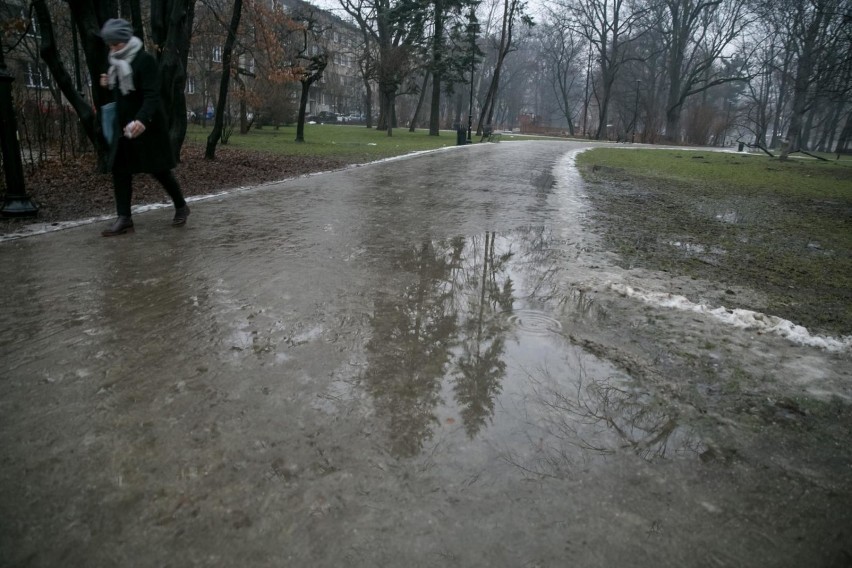 Czy tak powinien wyglądać park po kosztownej rewitalizacji?