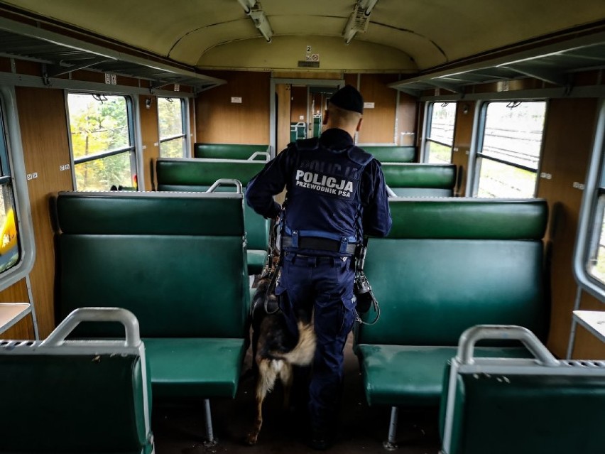 Białystok. Szkolenie policyjnych psów. Szukali narkotyków i materiałów wybuchowych [zdjęcia]