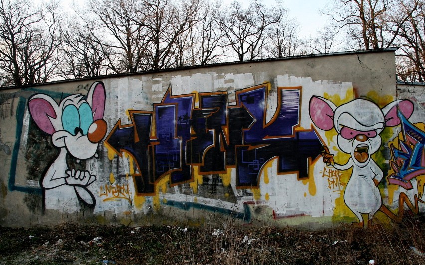 Zielonogórskie graffiti – nie wszystkie przetrwały [zdjęcia]