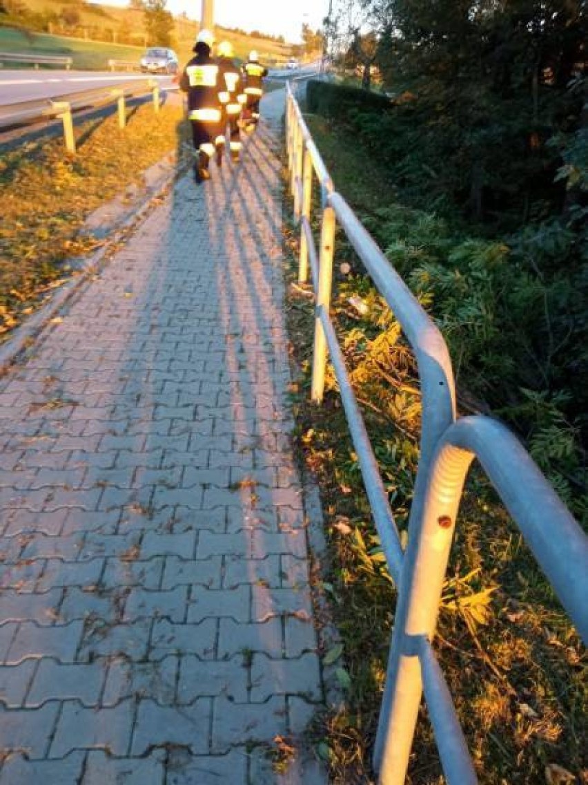 Sądecczyzna. Strażacy i druhowie OSP interweniowali prawie 60 razy z powodu silnego wiatru [ZDJĘCIA]