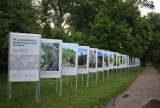 Gmina Gołuchów. "W poszukiwaniu dendrologicznych skarbów". Nowa wystawa w Ośrodku Kultury Leśnej