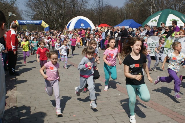 Ubiegłoroczna impreza w Parku Hallera była bardzo udana