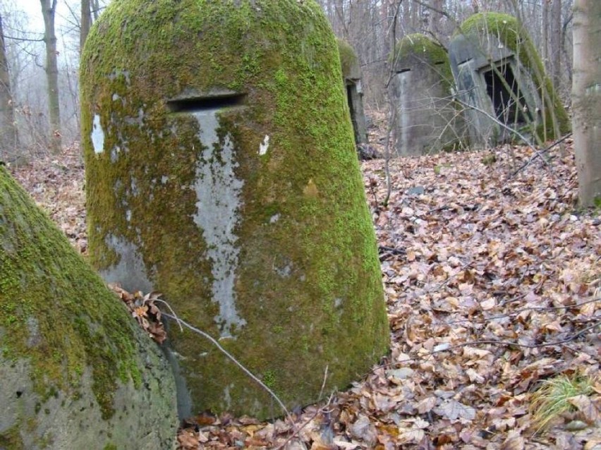 Na terenie lasu Kamionka jest osiem schronów z okresu II...