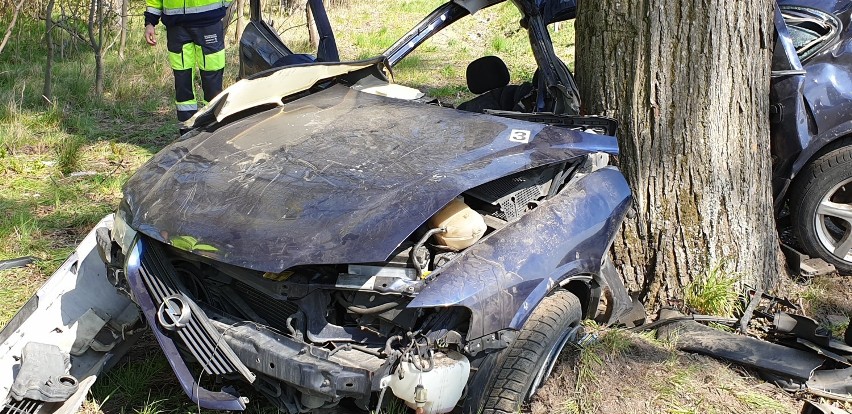 Śmiertelny wypadek w Krzykosach. Samochód osobowy uderzył w drzewo, nie żyją dwaj mężczyźni [ZDJĘCIA]