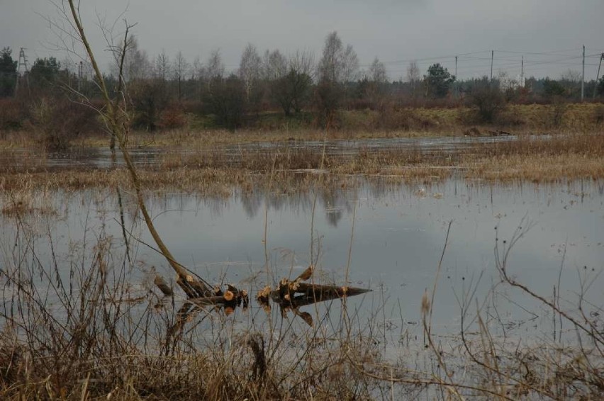 Gwda w Pile wylała z koryta i