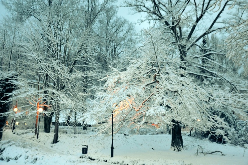 Zobacz zimowe zdjęcia z naszego regionu. Robią wrażenie! (ZDJĘCIA)