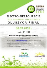 Głuszyca z Jedliną-Zdrojemj i Świeradowem-Zdrojem organizuje w niedzielę 30 września zlot rowerów elektrycznych