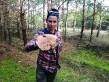 Oto grzyb gigant! Grzybiarki znalazły go w okolicach Inowrocławia. Zobaczcie zdjęcia