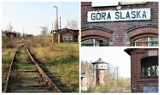 Góra. Samorząd wojewódzki wciąż nie przejął linii kolejowej Góra-Bojanowo, ale z planów nie rezygnuje. Ma stać się to jeszcze w tym roku 