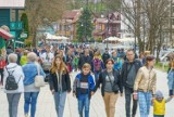 Krynica-Zdrój w czołówce na wypady majowe 2024. Rezerwacje cały czas spływają, duże zainteresowanie majówką w kurorcie pod Górą Parkową