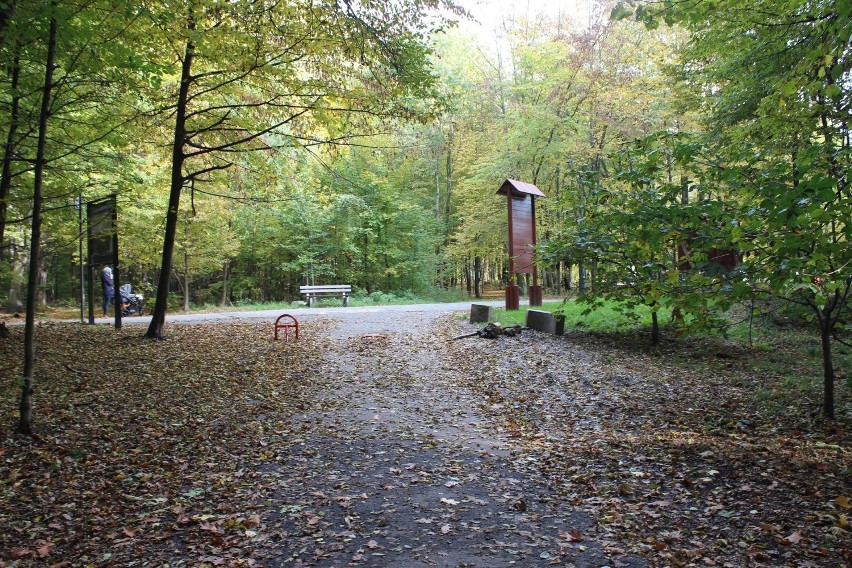 Park Repecki w Tarnowskich Górach zachwyca jesienną porą....