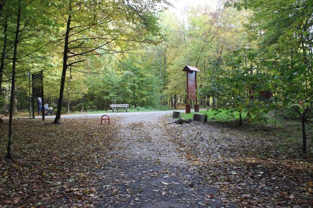 Park Repecki w Tarnowskich Górach zachwyca jesienną porą. Zobacz kolejne zdjęcia. Przesuwaj zdjęcia w prawo - naciśnij strzałkę lub przycisk NASTĘPNE >>>