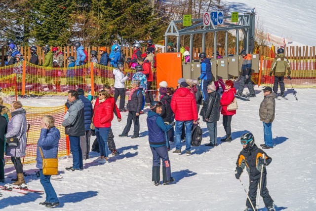 Narciarze oblegali stoki w Krynicy - Zdroju