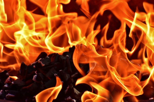 Straż miejska w Jastrzębiu namierzyła naprawdę "toksyczne" ognisko