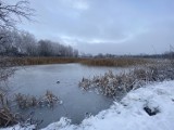 Zalewiska oraz podtopienia po likwidacji kopalni Olkusz-Pomorzany. Gdzie i kiedy do nich dojdzie? [ZDJĘCIA]