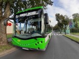 Z nowym rokiem nowy rozkład jazdy autobusów miejskich w Szczecinku