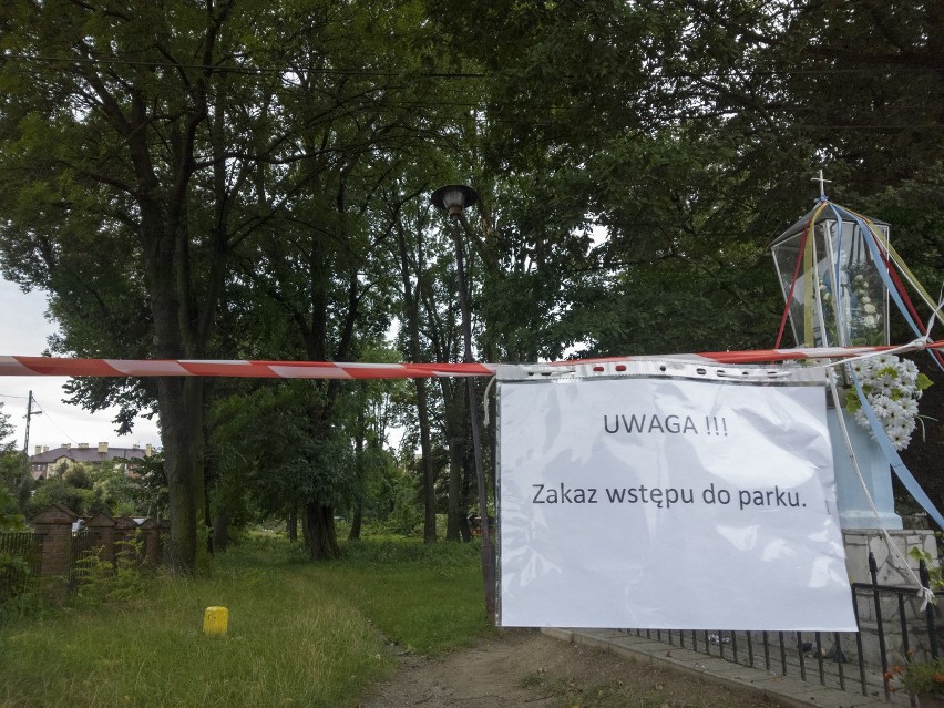 Nawałnica zniszczyła park na Zalesiu w Rzeszowie