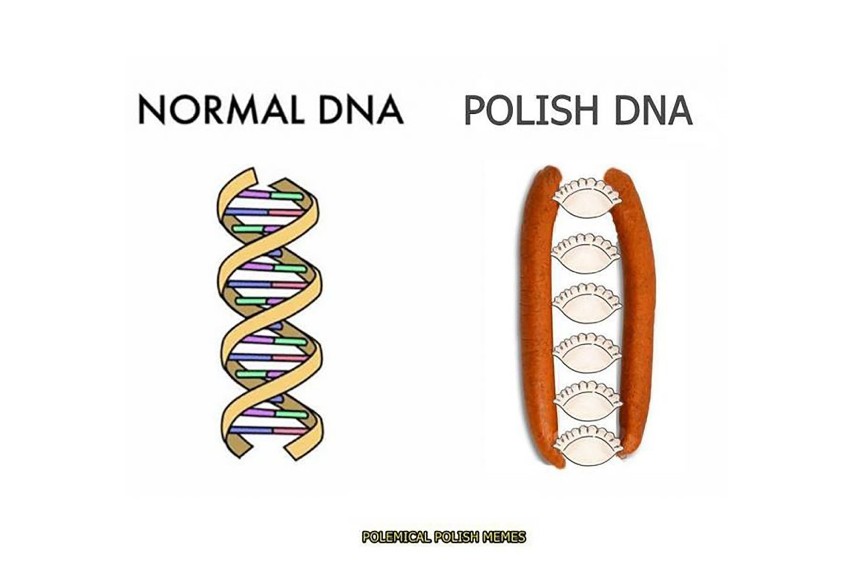 Zagraniczne MEMY o Polakach. W DNA mamy pierogi, za herb kiełbasę. Oto obraz Polaka za granicą. Słuszny?
