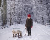 Zima w obiektywie Czytelników. Zobaczcie jak postrzegają zimę, bo ujęcia są wyjątkowe