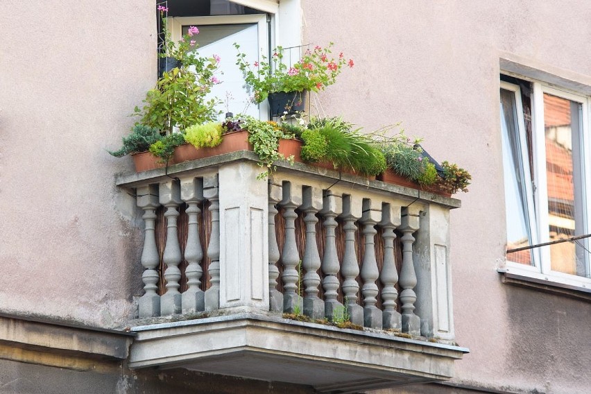 23 edycja "Zielonego Kalisza" za nami. Znamy posiadaczy najpiękniejszych balkonów, ogródków i działek