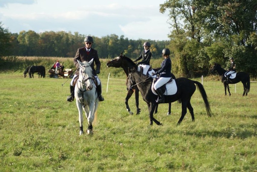 Pogoń za lisem 2019 w Mechlinie