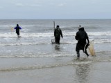 Powiało, więc na plaży w Kołobrzegu pojawili się poławiacze bursztynów (zdjęcia)