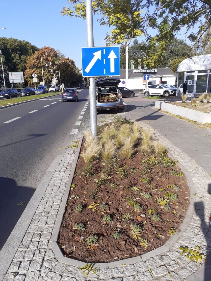 Prace nad parkiem kieszonkowym w centrum rozpoczęły się w...