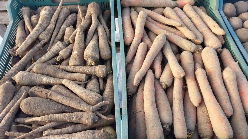 Ceny warzyw i owoców na targowisku w Opatowie w środę 17 stycznia. Zobacz zdjęcia