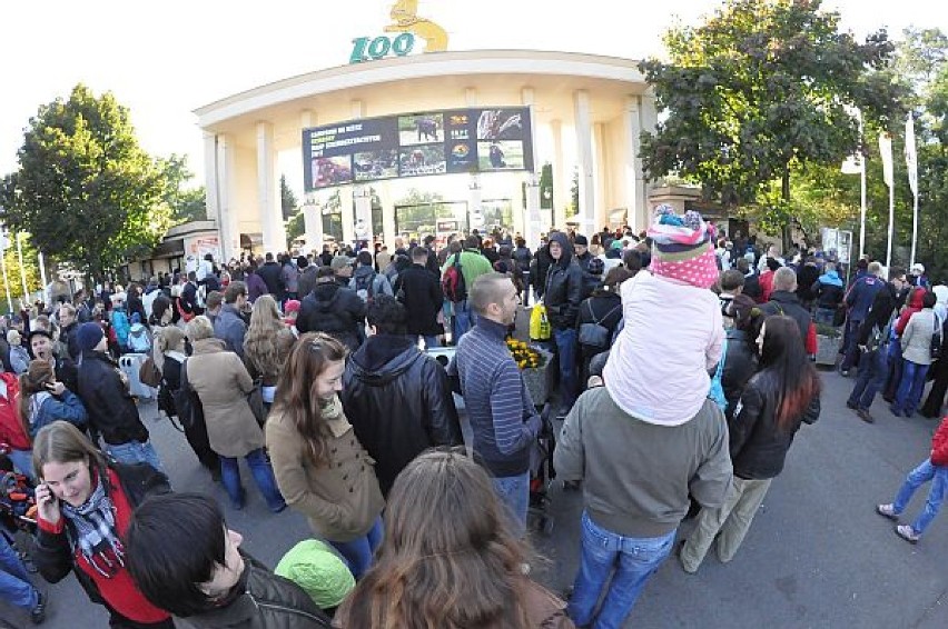 Główna brama zoo będzie nieczynna od 11 listopada