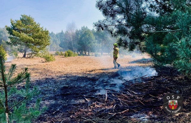 Zdjęcie ilustracyjne z pożaru traw w gminie Brześć Kujawski