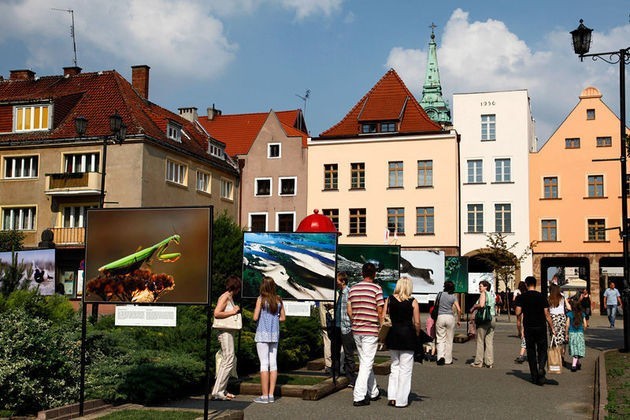 W Toruniu wystawa jest prezentowana na Placu Rapackiego, obok budynku Collegium Maximum UMK.