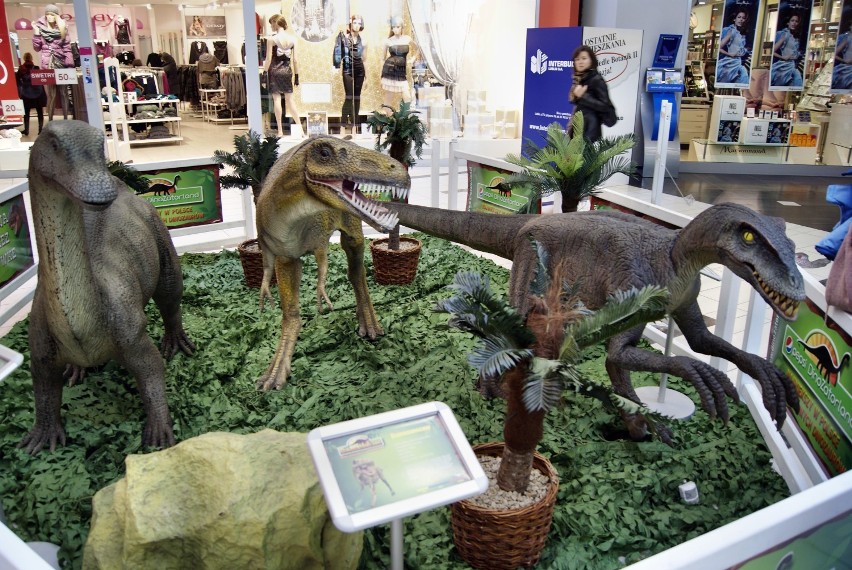 Dinozaury w Galerii Orkana