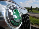 Skoda Superb Combi: do pracy, na zakupy i weekendowy wypad? Czemu nie! [zdjęcia]