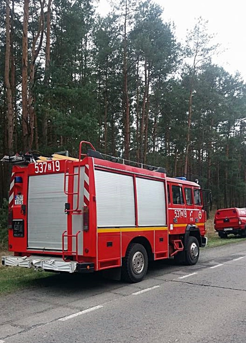 Wypadek na tzw. betonce. Dwie osoby ranne. Ruch odbywa się wahadłowo [aktualizacja, zdjęcia]