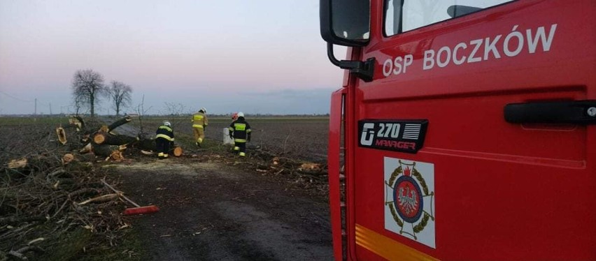 Ostrów Wielkopolski. 100 interwencji strażaków podczas usuwania skutków Orkanu Dudley [FOTO] 