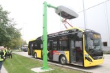 Włocławek kupi autobusy elektryczne. Wprowadzi też system ITS. Dla wygody pasażerów i lepszego zarządzania ruchem