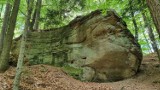 Skałki w Muchówce uzyskały status pomnika przyrody w Wiśnicko-Lipnickim Parku Krajobrazowym. To już kolejne formy skalne objęte ochroną