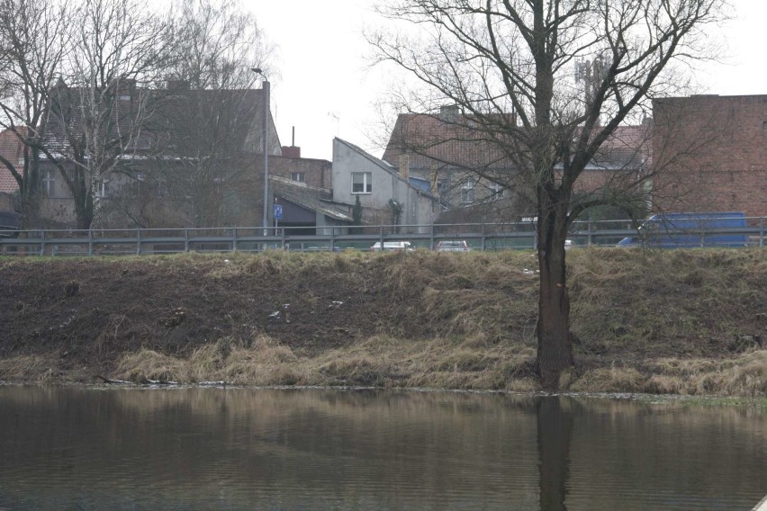 W Międzychodzie uporządkowano tereny nad rzeką Wartą od...