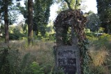Stary cmentarz w Orzegowie. To miejsce, które opowie niejedną historię. Jego początki sięgają XIX wieku.