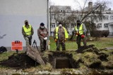 Odkrywcy zbadali schron - dawną szczelinę przeciwlotniczą na Łazarzu! Zobacz, jak wygląda po ponad 76 latach od wybudowania  