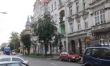Konserwatorzy kontra drogowcy - spór o ul. Mickiewicza w Toruniu