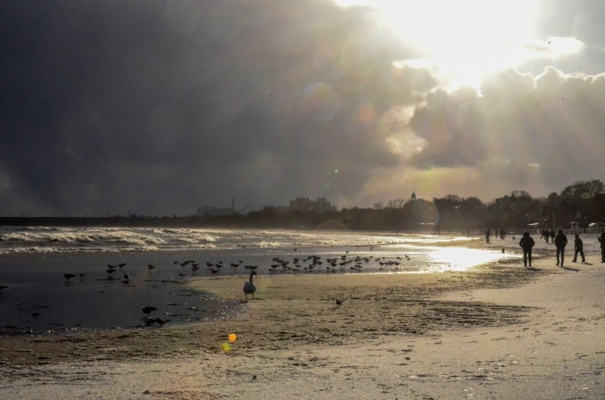 Spacer po sopockiej plaży. Zima na Pomorzu. Wybraliśmy się na spacer nad morze [ZDJĘCIA] 